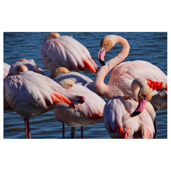 PHOTO84, CLUB, 84 , LUBERON